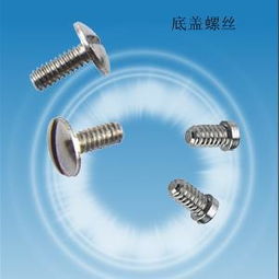 底盖螺丝高清大图解析 順威精密五金制品厂为您展示螺钉细节之美